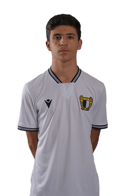 Rui Araújo
